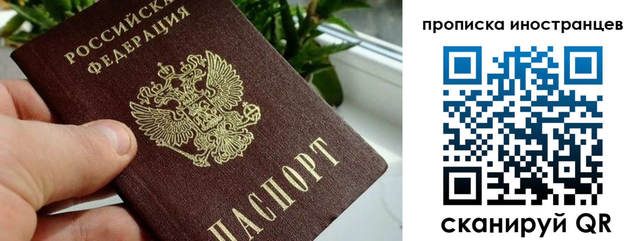 временная регистрация в Талице